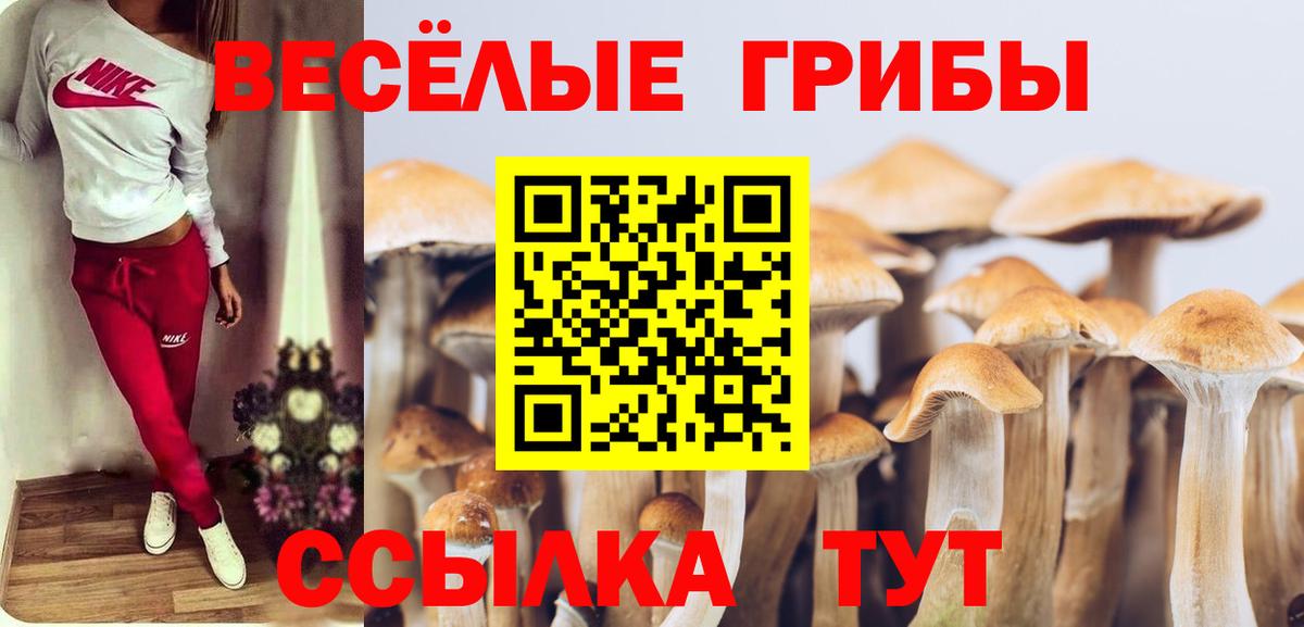 Псилоцибиновые грибы MAGIC MUSHROOMS Новодвинск